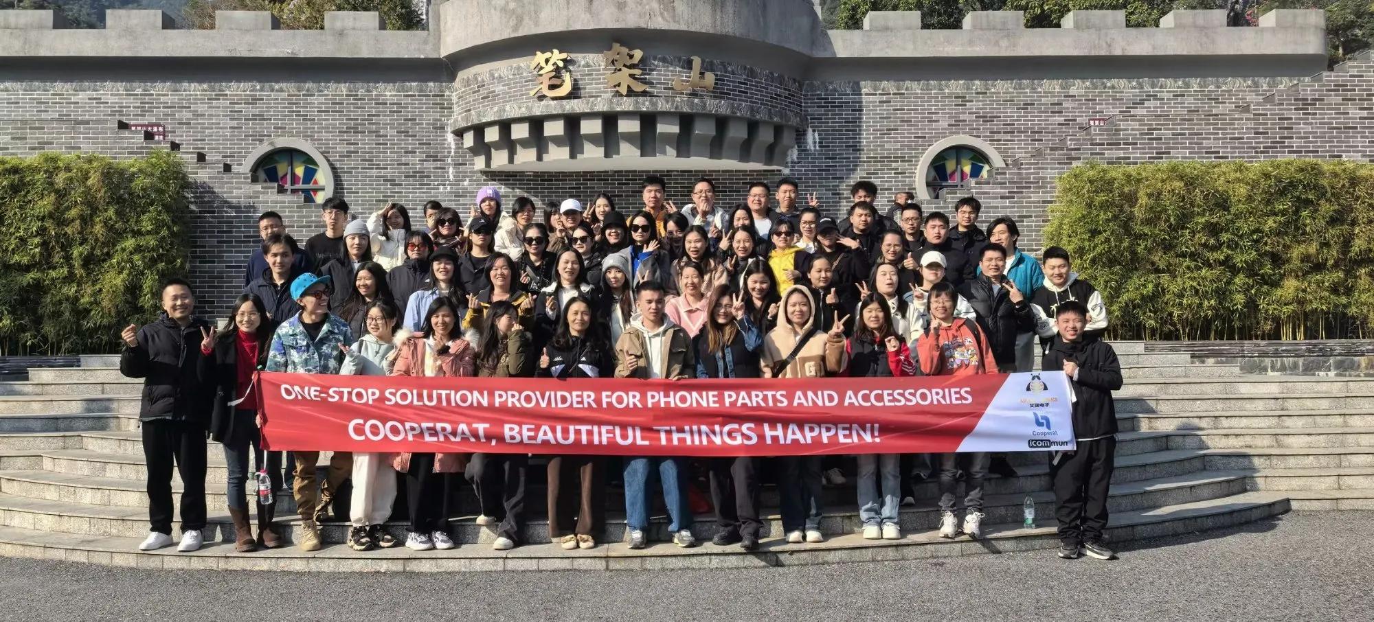 Our team has more than 20 years of experience in the field of mobile phone parts and accessories. Ourmission is to connect the world and we are committed to providing high-quality, high-performance,environmentally friendly and safe mobile phone parts and accessories to global partners.